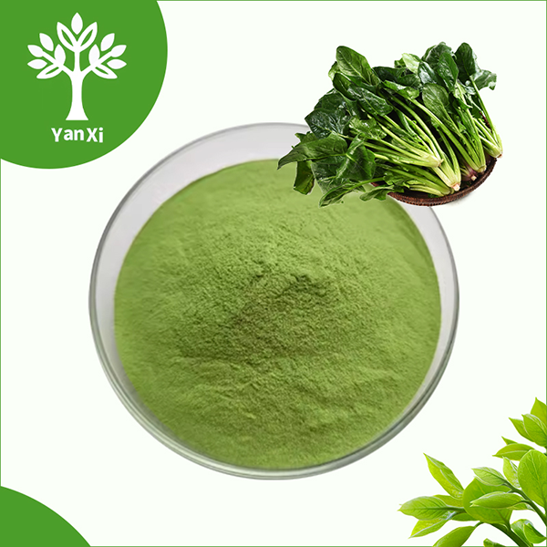 Spinach Powder Bulk Spinach Powder Bulk